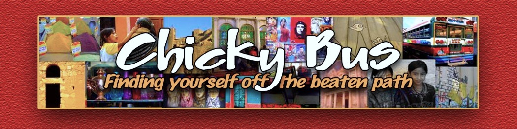 Chicky Bus